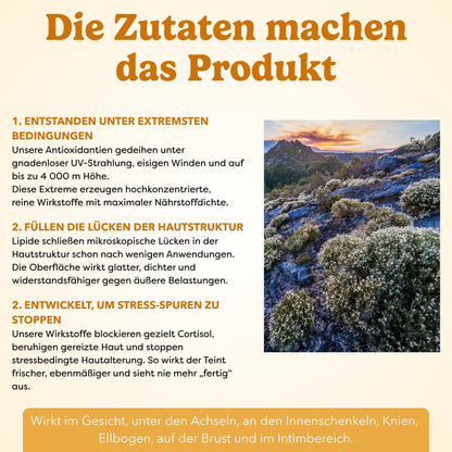 Gloomi® Skin Essence Bar (2er Pack)